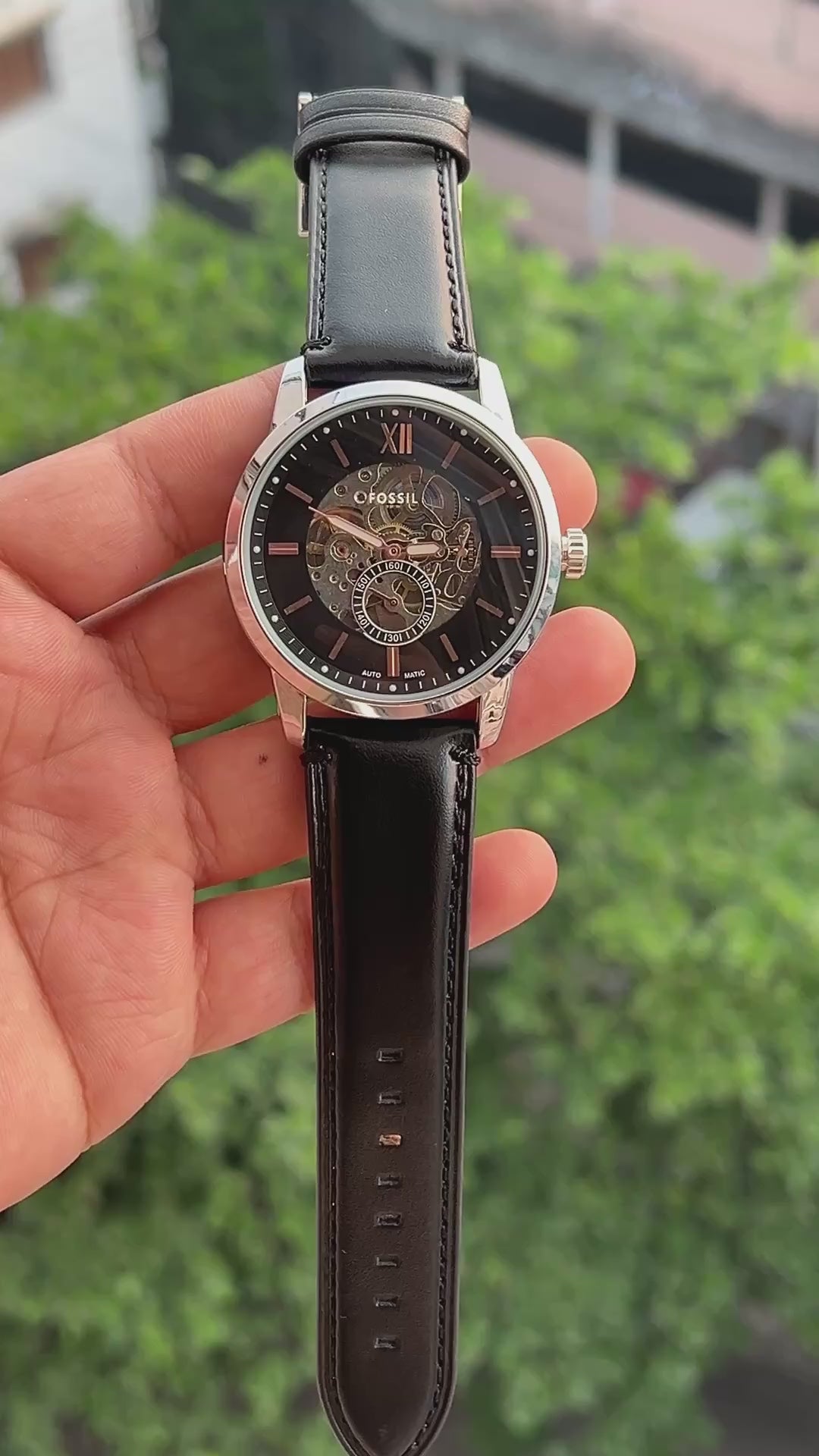 Fossil Skeleton (Automatic)