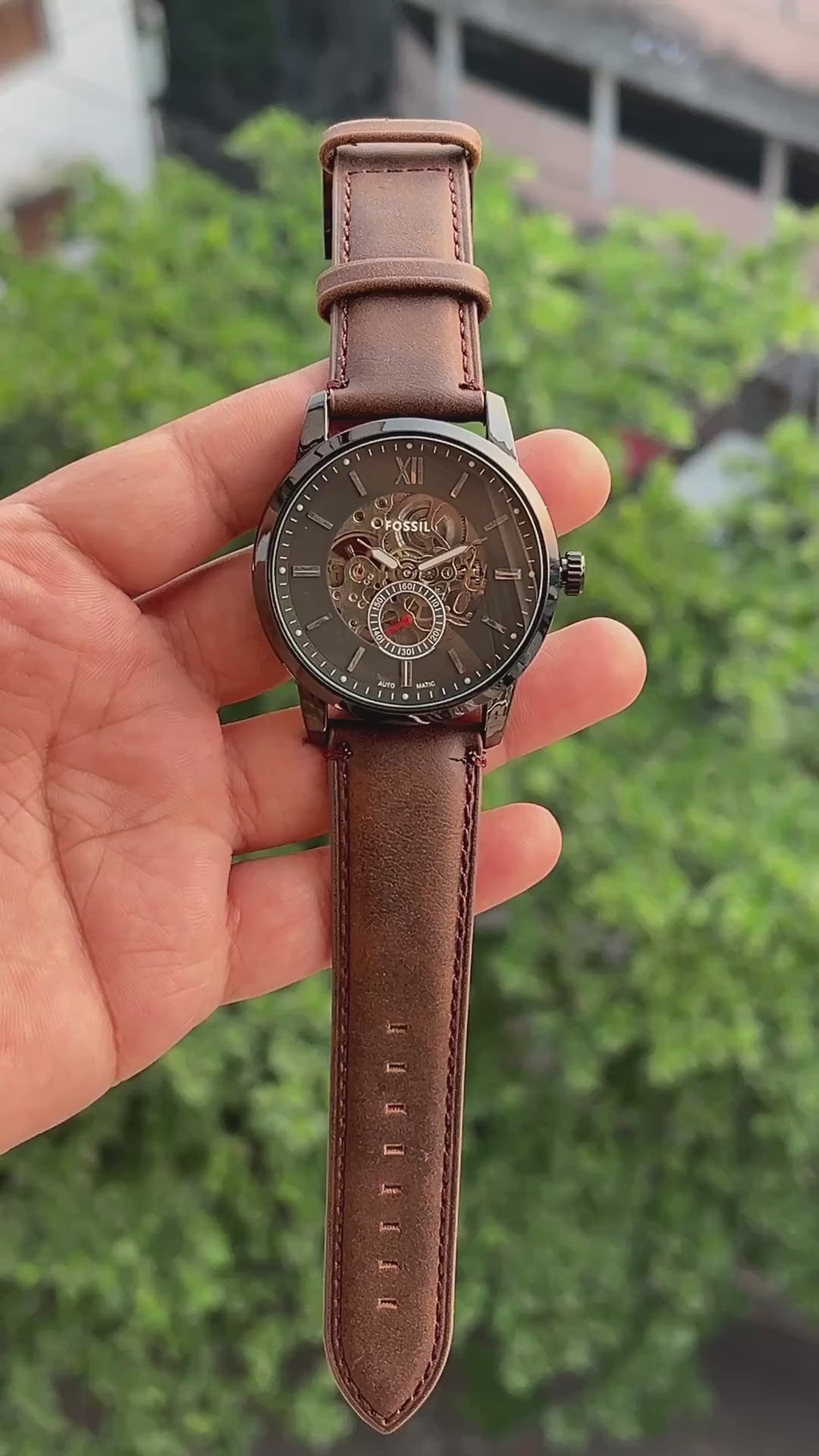 Fossil Skeleton (Automatic)