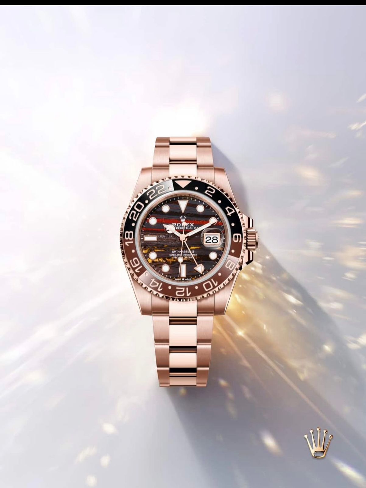 Rolex Gmt master Rootbear tiger