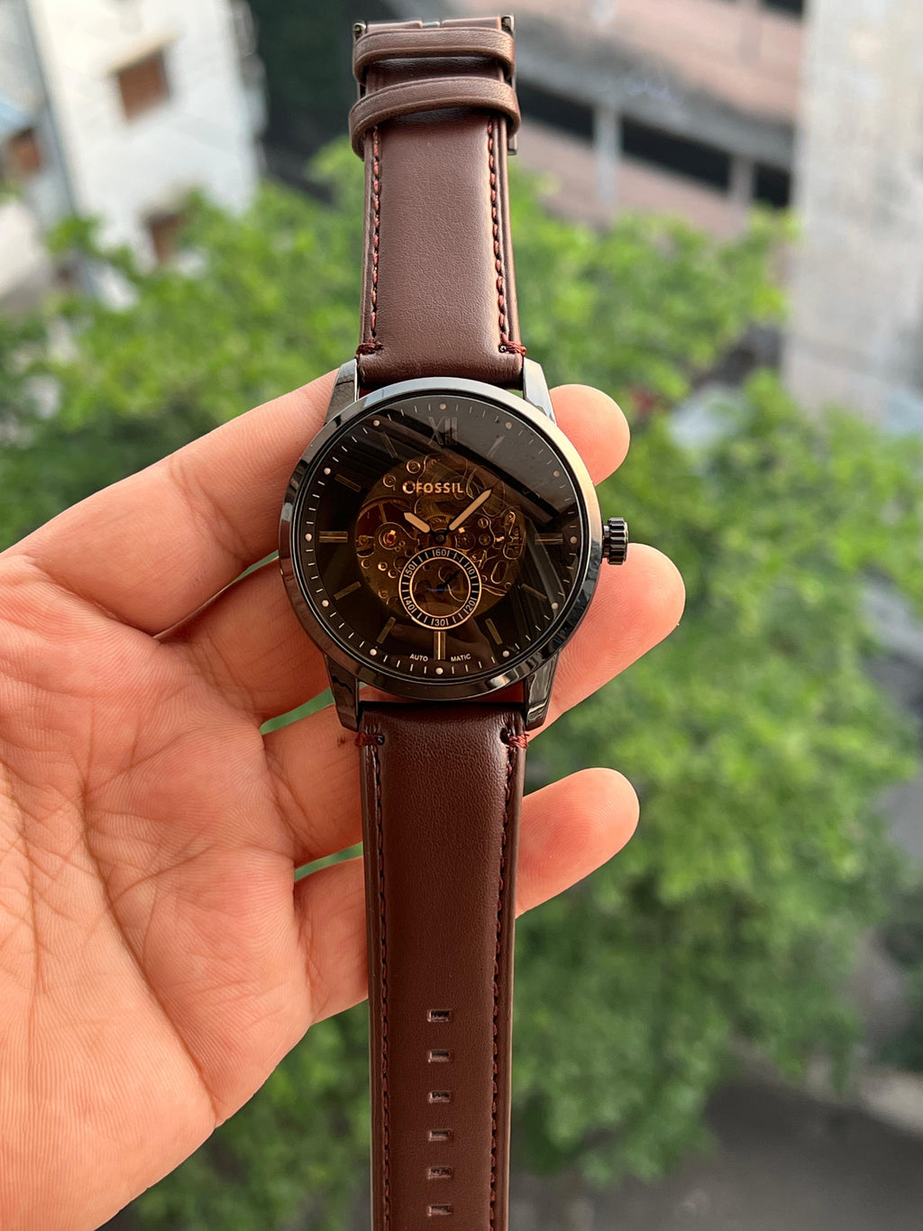 Fossil Skeleton (Automatic)