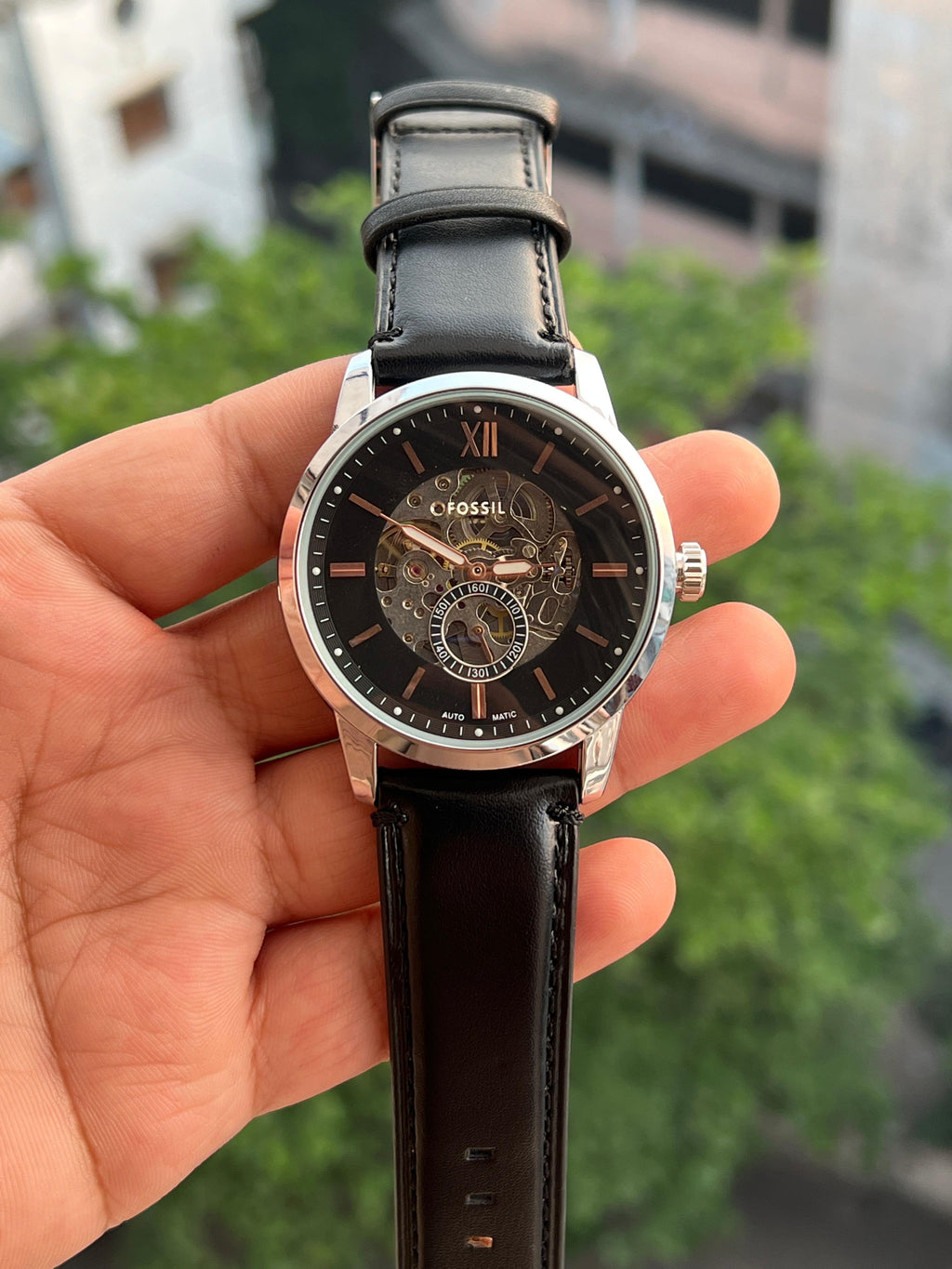 Fossil Skeleton (Automatic)